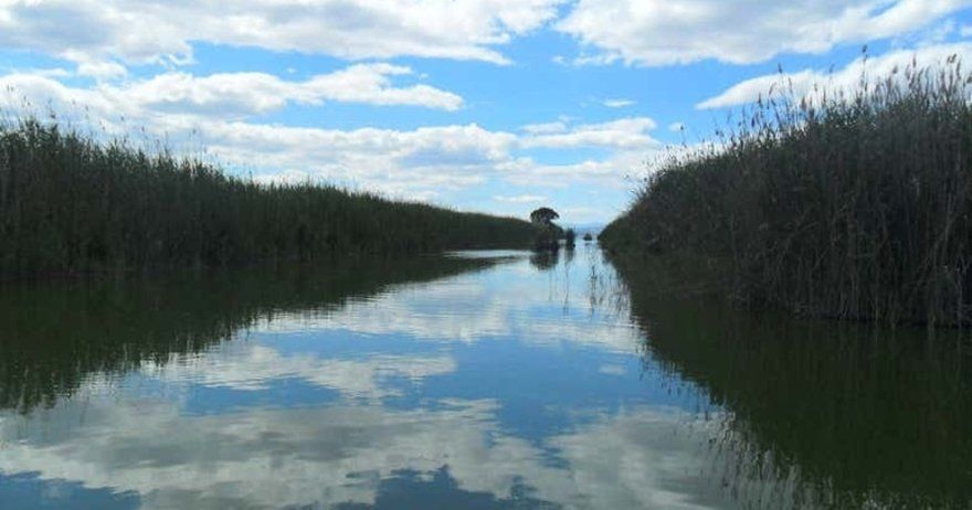 Paseo en barca por la Albufera