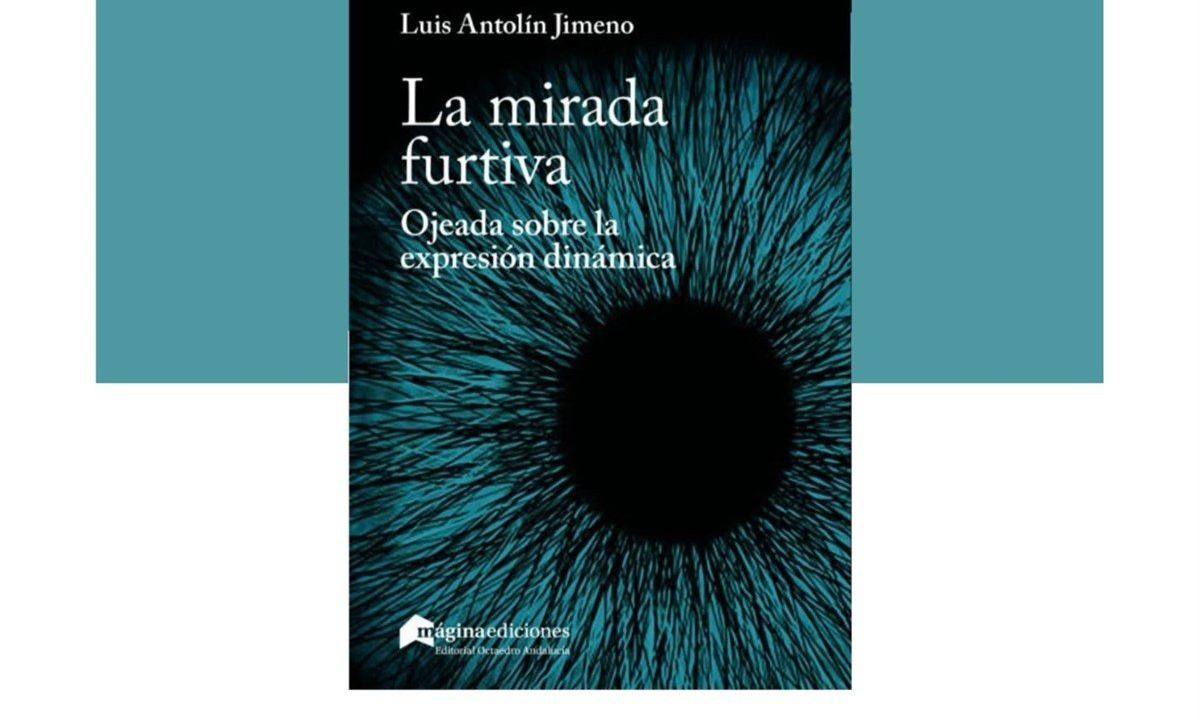 Presentación del libro La mirada furtiva