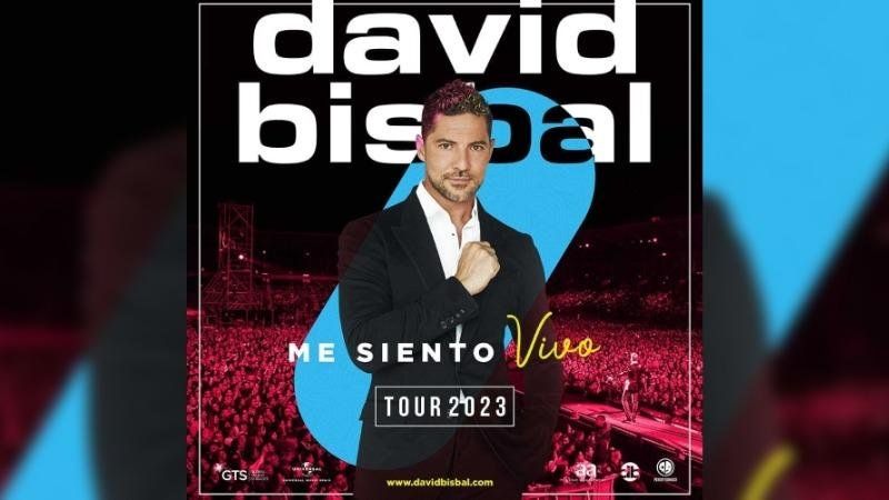 David Bisbal