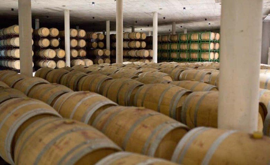 Visita a la bodega Raíces Ibéricas