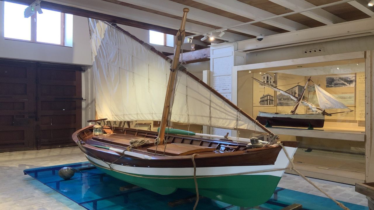 Visitas guiadas Museu de la Mar - Casa dels Bous