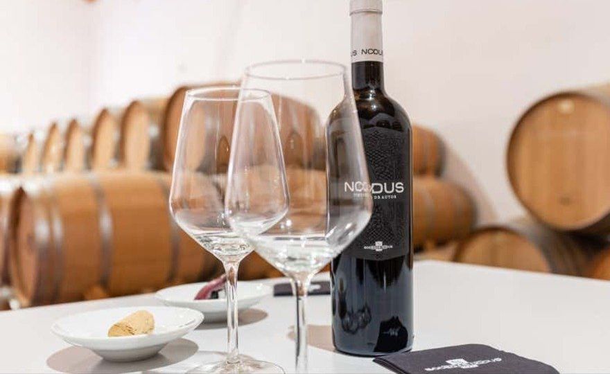 Visita a las Bodegas Nodus