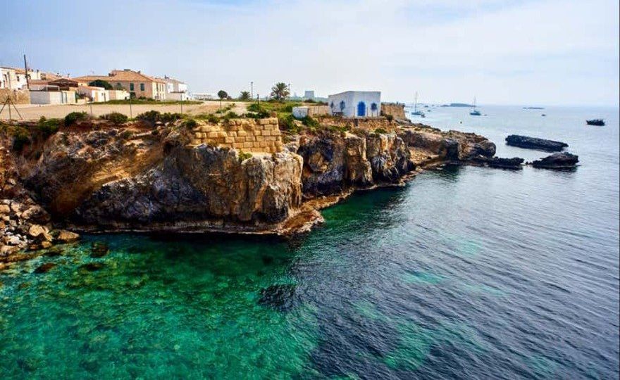 Excursión a la isla de Tabarca y el palmeral de Elche