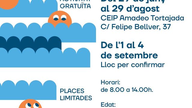 Escuelas coeducativas de verano IV
