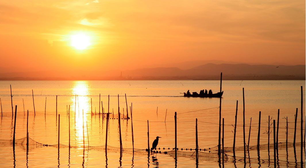 Paseo en barca por la Albufera (Adulto)