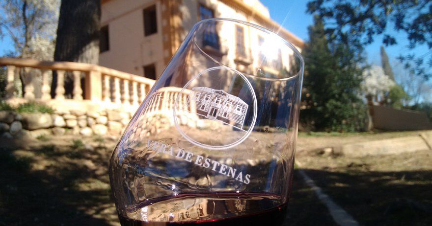Cata de vinos con pica pica y visita a la bodega Vera de Estenas