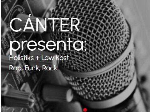 Holistiks + Low Kost