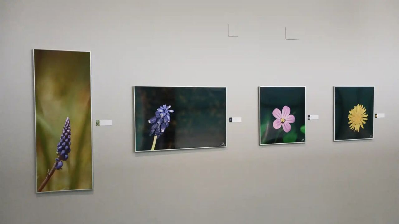 Exposición 'MacroArte' de Tony Tirado