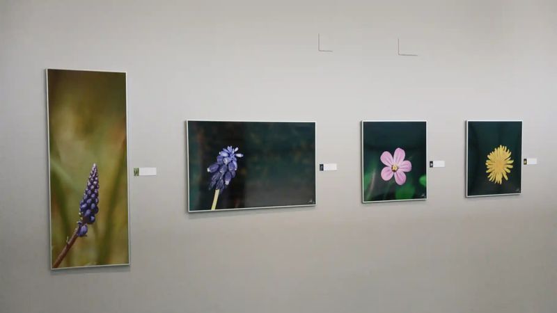 Exposición 'MacroArte' de Tony Tirado