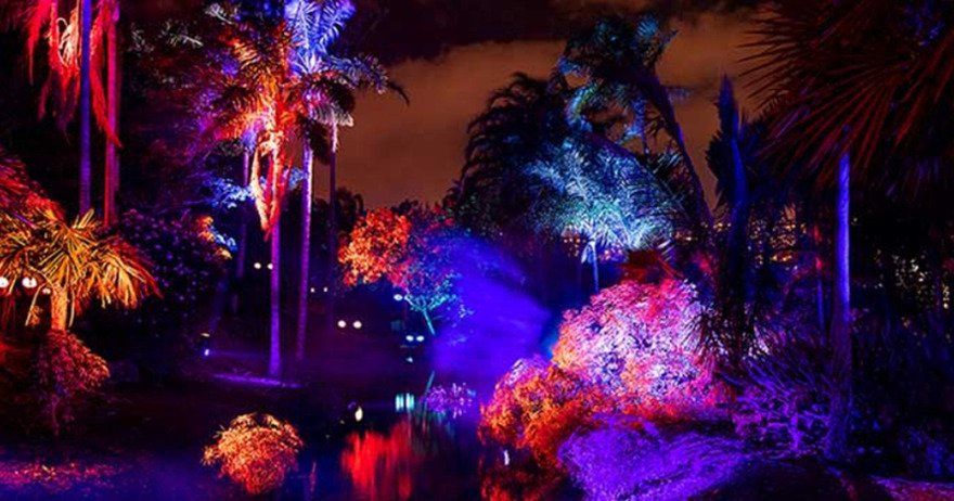 Naturaleza Encendida - Aquatic