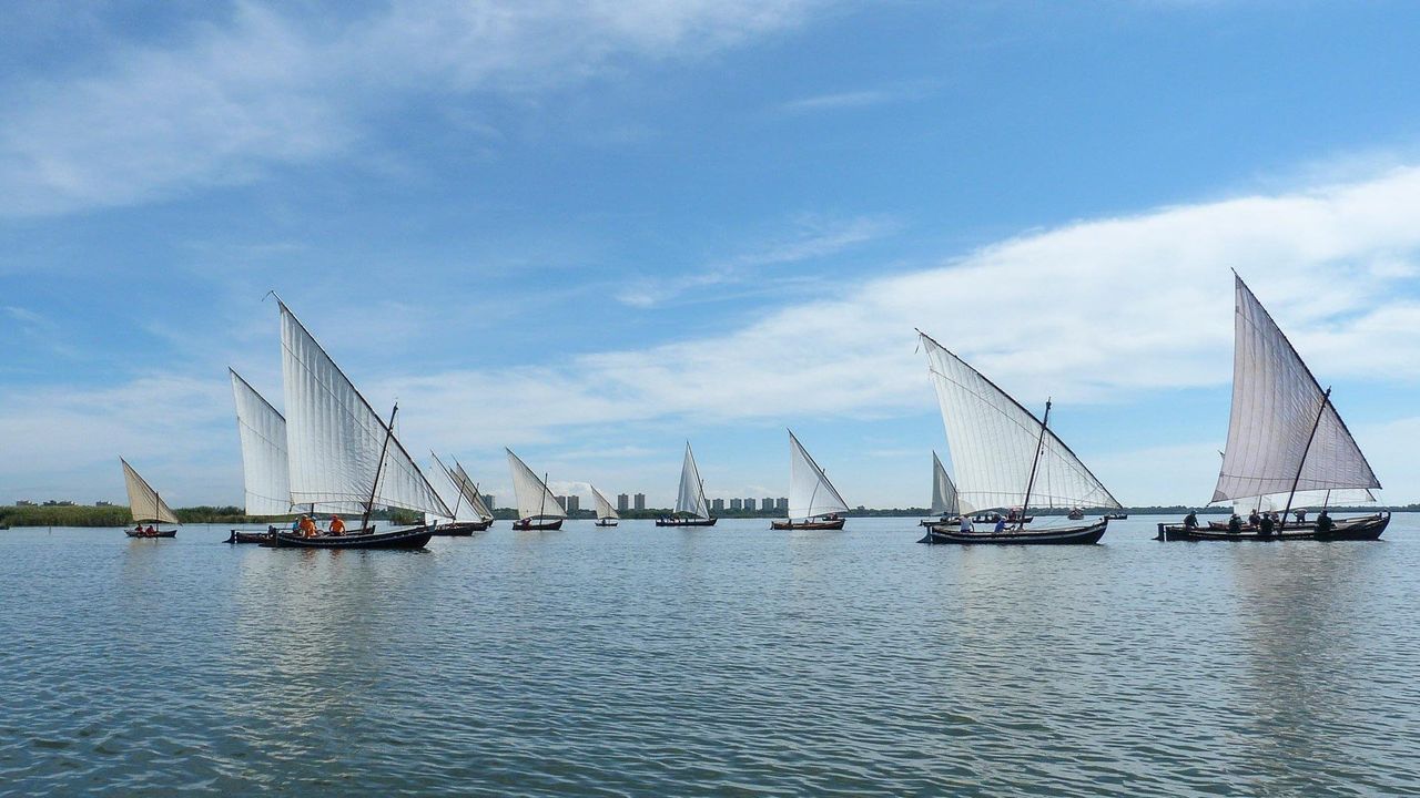Exhibiciones de vela latina