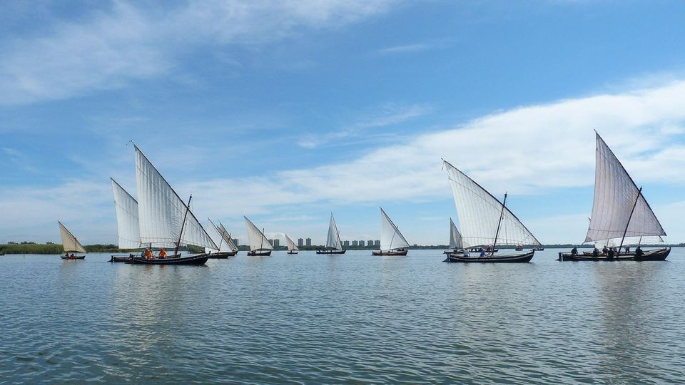 Exhibiciones de vela latina