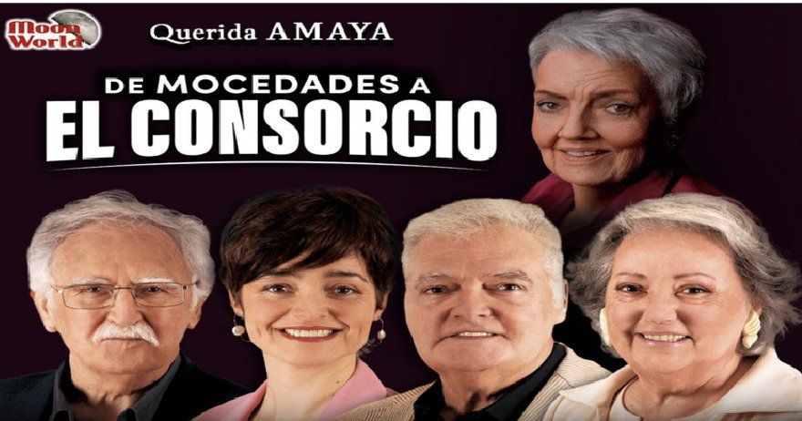 Querida Amaya - El Consorcio