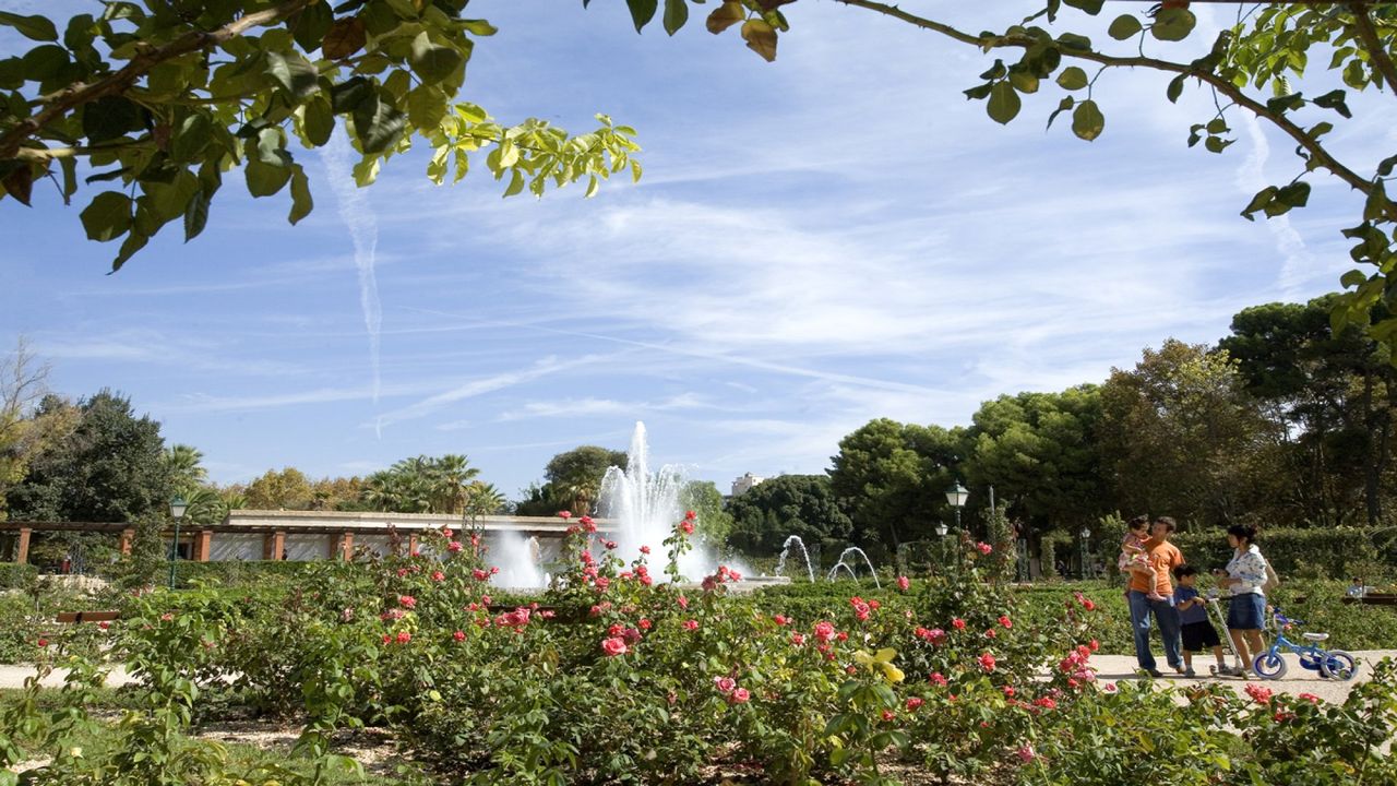 Ruta de los árboles monumentales de València