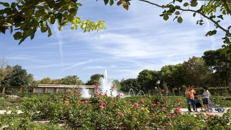 Ruta de los árboles monumentales de València