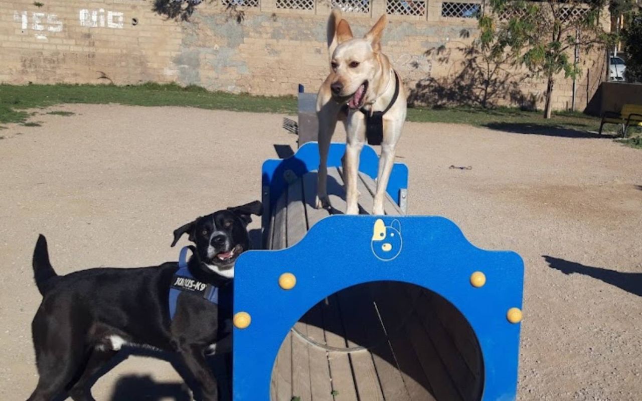 Foto: Parque Canino Agility