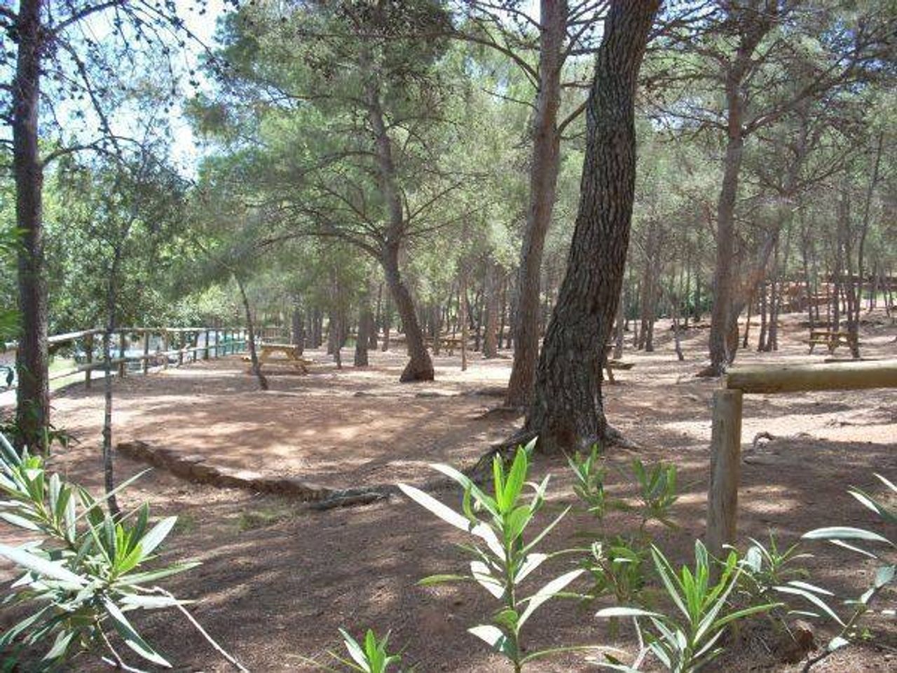 Foto: Ayuntamiento de Gilet en Gilet