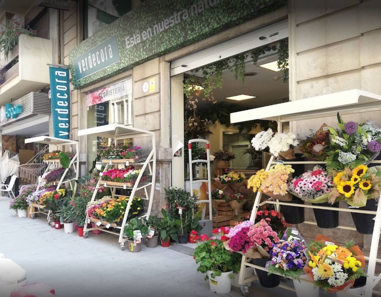 Foto: Verdecora