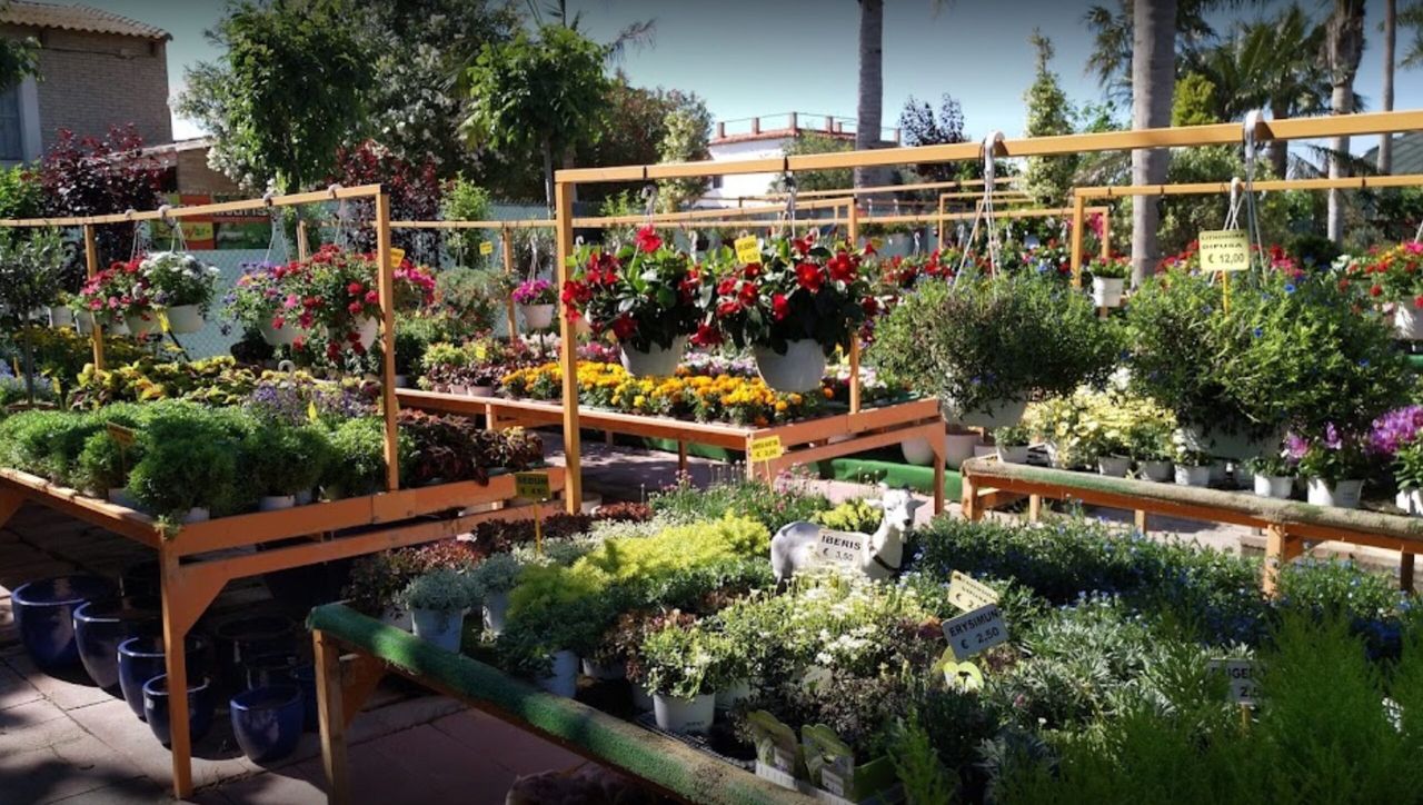 Foto: Centro de Jardinería Albogarden