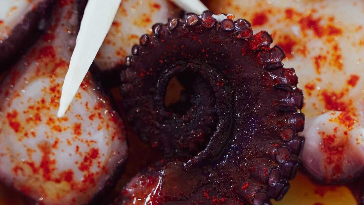 ¡Prepara tu paladar! La Gran Fiesta del Marisco ya está en Valencia