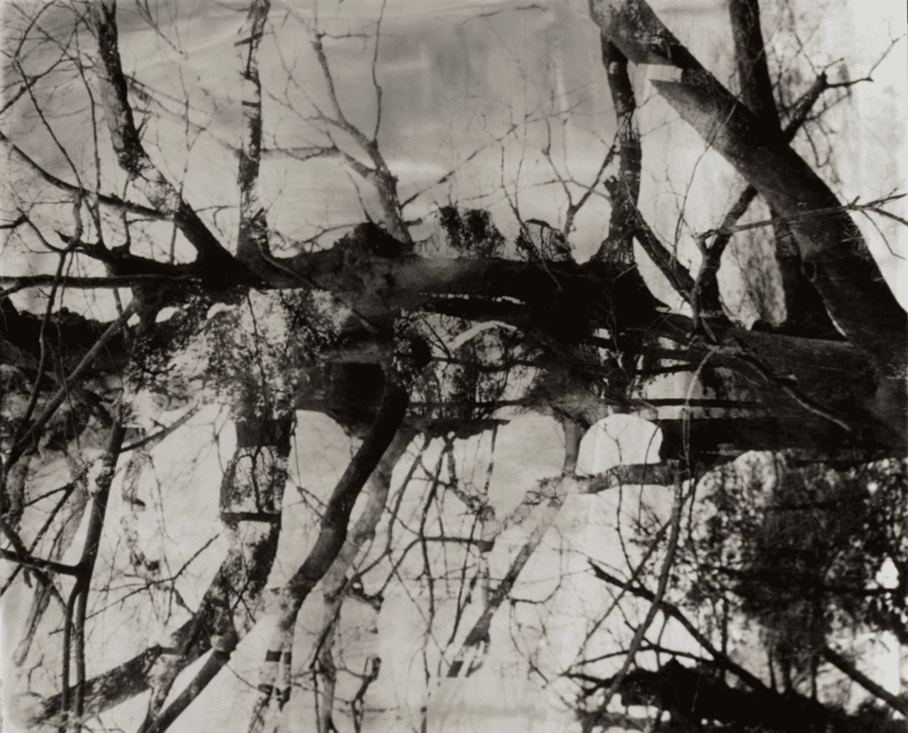 Foto: En busca del meta-infinito