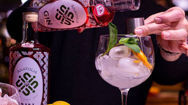 Dónde preparan los mejores gin tonics en Valencia