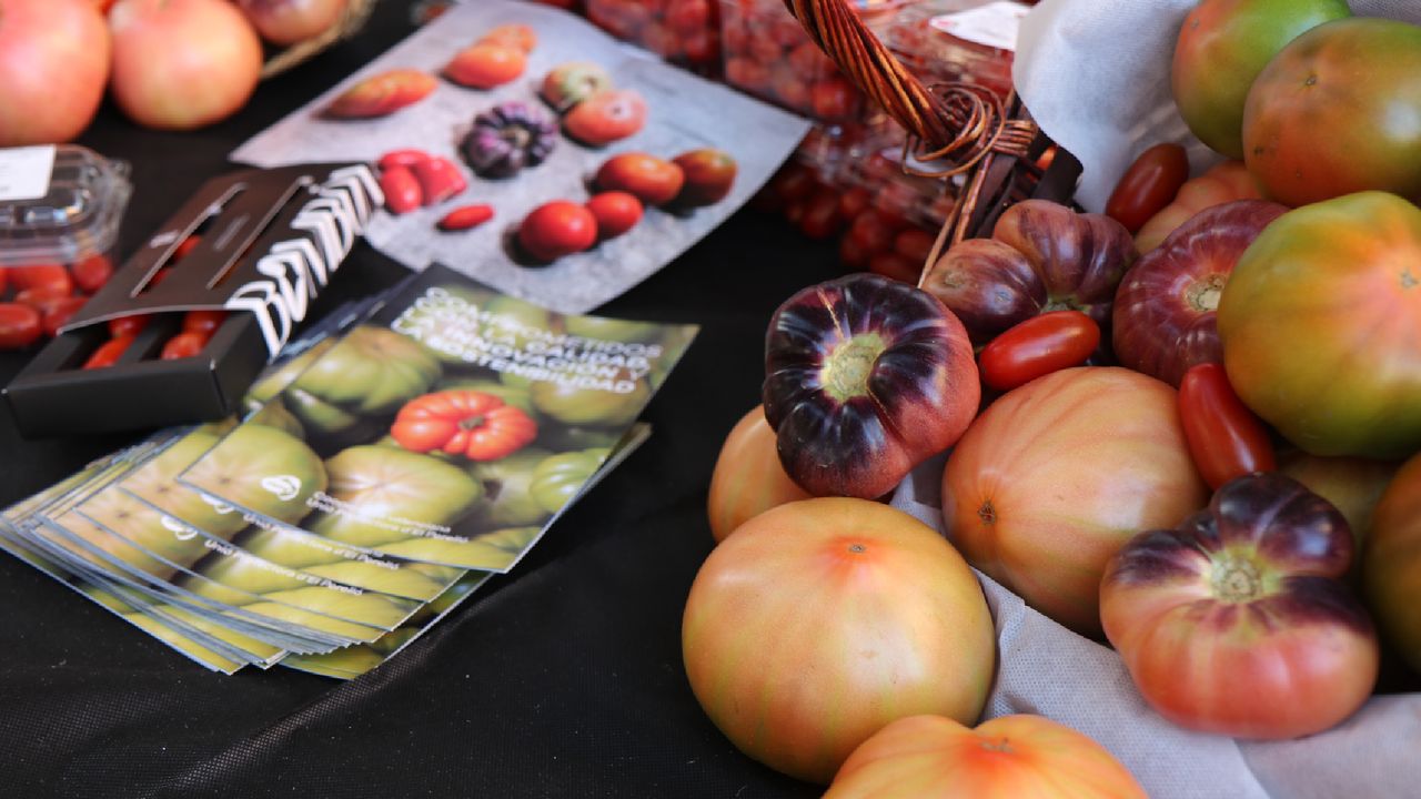El Perelló celebra su XII Feria Gastronómica del Tomate