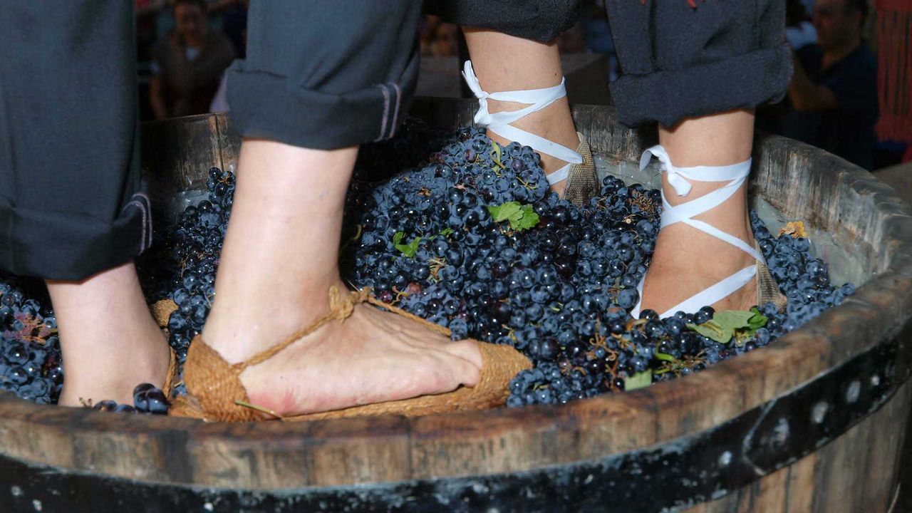 Fimuvin 2025: música y vino se dan la mano en Requena