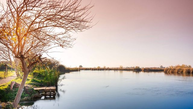 Los planes más divertidos que puedes hacer este otoño en Valencia