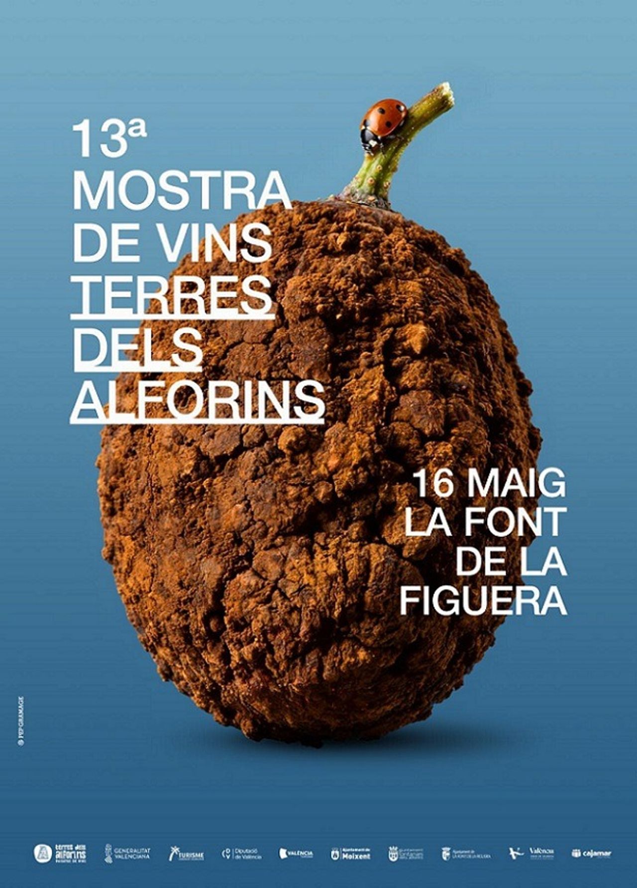 Cartel 13a Mostra de vins terres dels alforins. Foto: 13a Mostra dels alforins. 