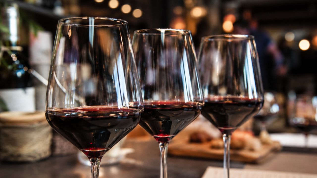 La 13ª Mostra de Vins Terres dels Alforins: un festín para los sentidos