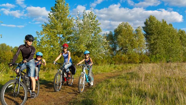 Día Mundial de la Bicicleta en Valencia: celebrando el pedal y la diversión