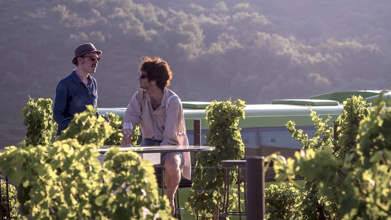 Tierra Bobal Fest: un viaje cultural entre música y vino