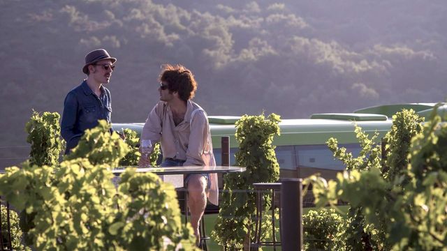 Tierra Bobal Fest: un viaje cultural entre música y vino