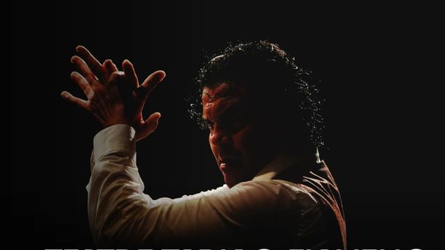 Flamenco en Valencia: una inmersión en la tradición y el arte