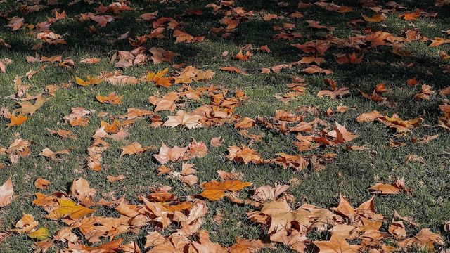 Rutas de senderismo otoñal  en Valencia