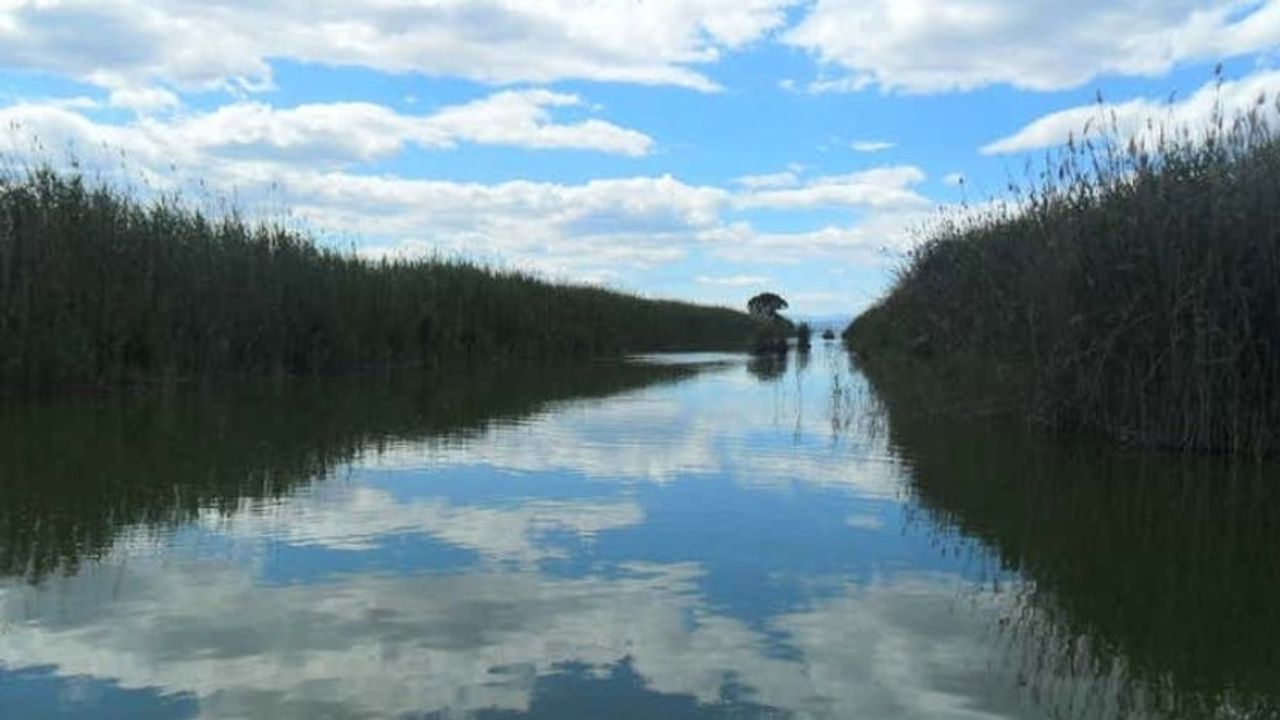 Pasear la Albufera en barca: una escapada tranquila y muy auténtica