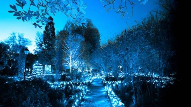 Aquatic, un mundo acuático de luces y proyecciones mágicas en Navidad