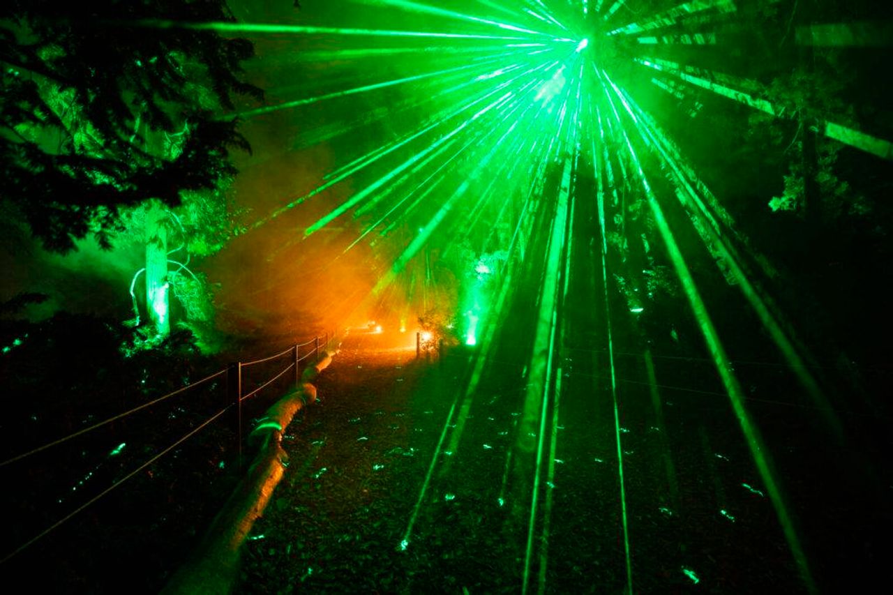 Vive este espectáculo en el Jardín de Vivers de Valencia. Foto: Les llums de Vivers