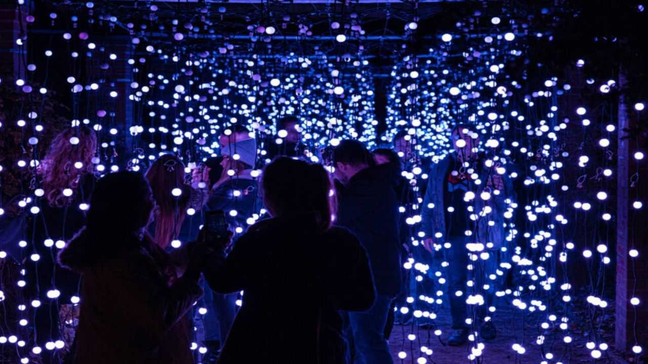 El Jardins de Vivers se llena de la magia de la Navidad con Les llums de Vivers