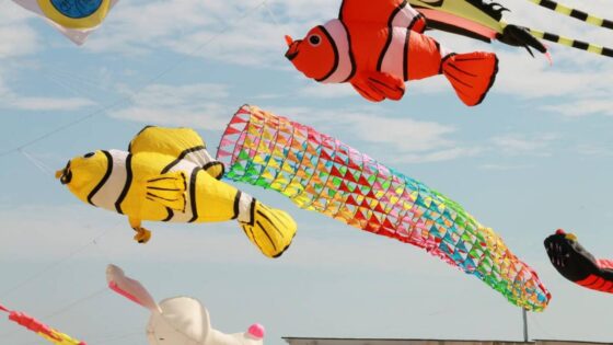 Festival de Cometas de Valencia: una danza de colores en la playa